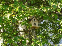 /album/fotozipora/vogelhaus-jpg/