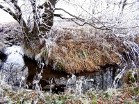 /album/fotozipora/winter3-jpg/