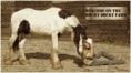 /album/fotogalerie/welcomleinwand-jpg1/