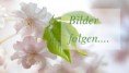 /album/fotogalerie/a33-jpg/